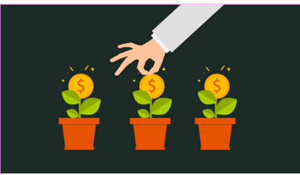 Woman presenting earnings with laptop and coins illustration